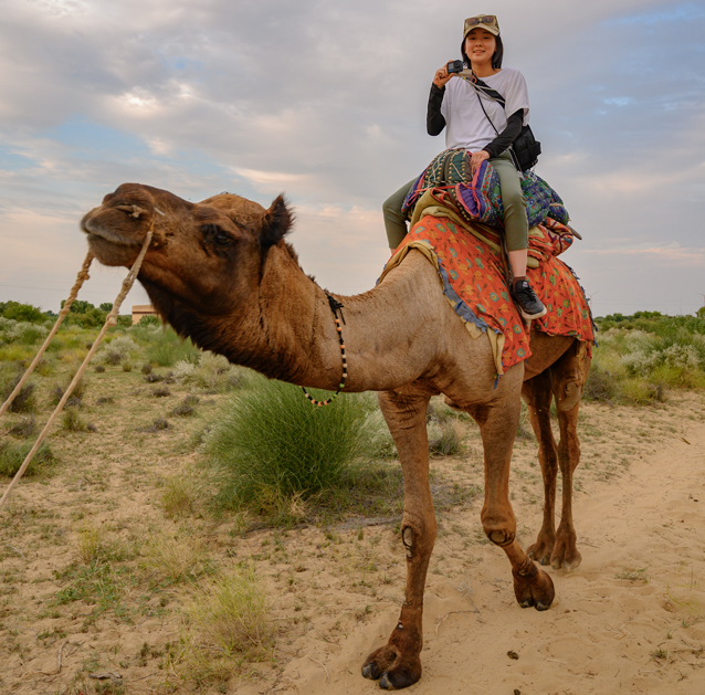 Camel Safari