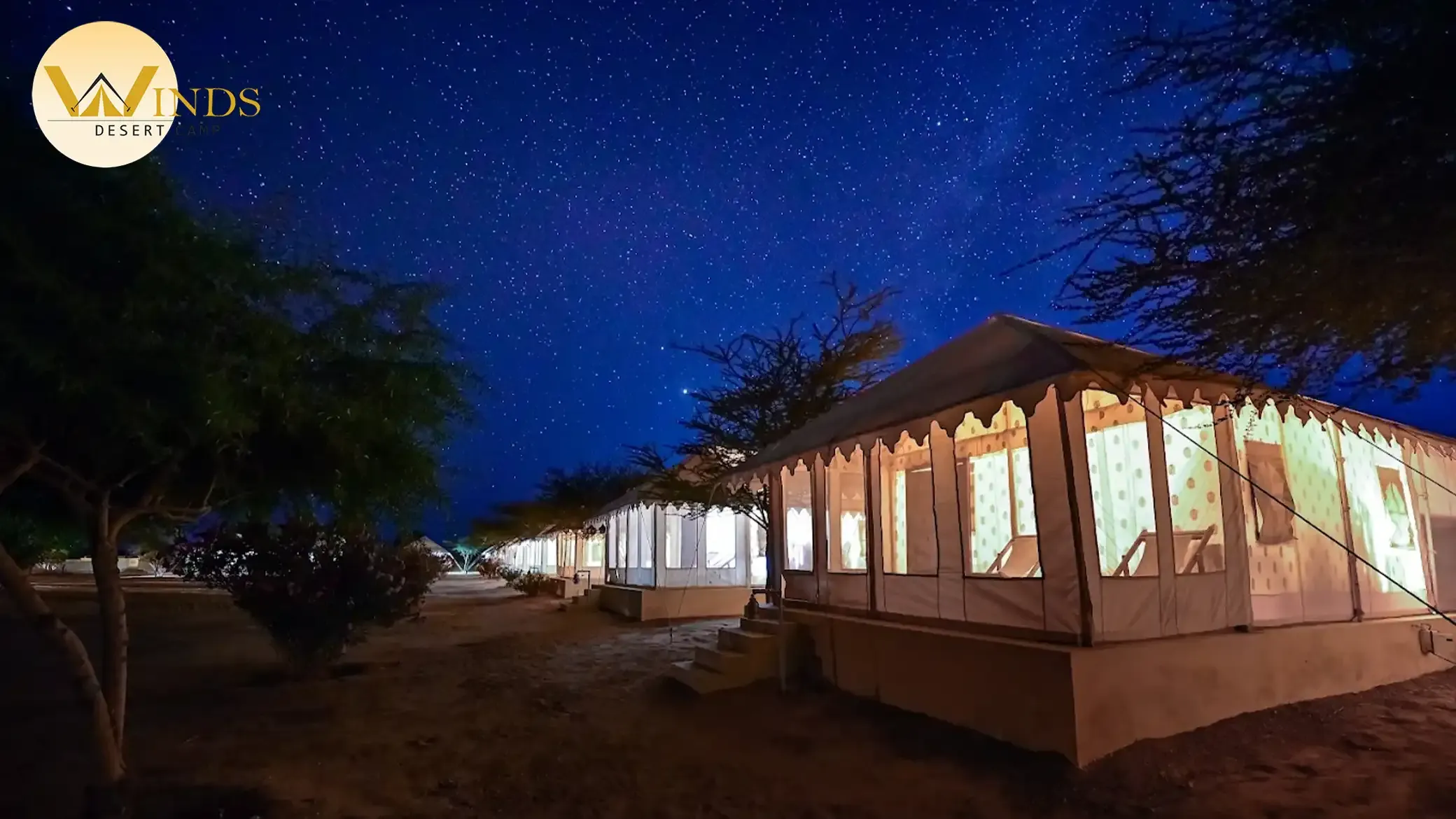Stargazing in Jaisalmer: A Perfect Night Activity in the Desert