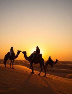 exp-camel-C4IXhJin